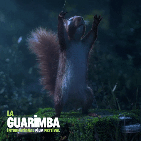 Animation Im Ready GIF by La Guarimba Film Festival