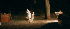 dsvltavan GIF