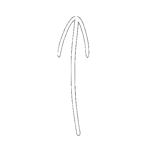 Winter Arrow Sticker