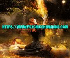 Astrologer In Toronto GIF