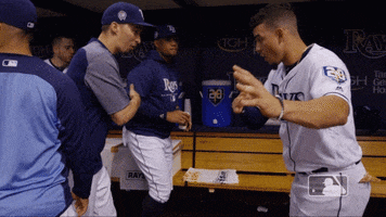 handshake GIF by MLB