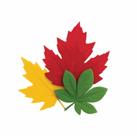 GIF by SWISONTARIO