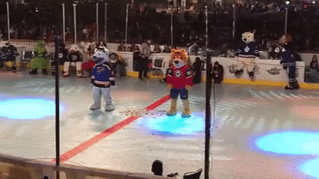 st louis blues dancing GIF by Nordy Wild