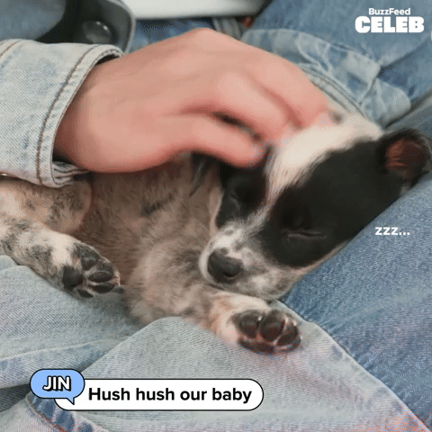 Hush Hush Puppy