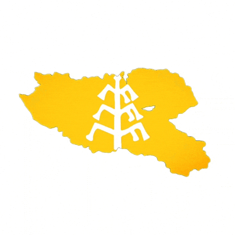 Turukflags GIF