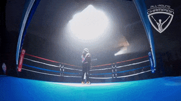 allroundchampiontv boxing punch olympics ring GIF