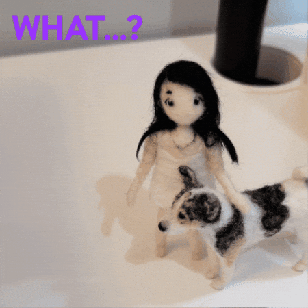 Stop Motion What GIF
