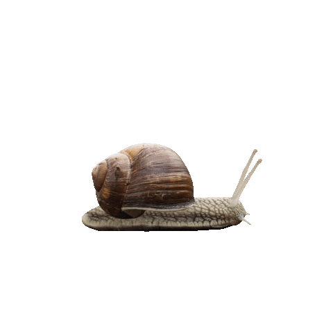 de Tuinbroekies Sticker