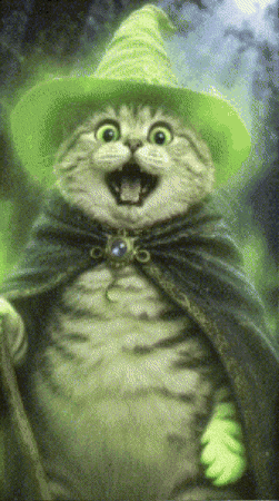 Tabby Cat Magic GIF