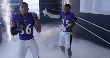 Dance Reaction GIF by Baltimore Ravens