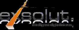 exsolut GIF