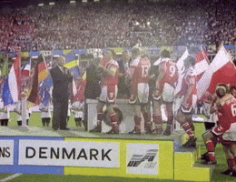 Celebrate Great Danes GIF by UEFA
