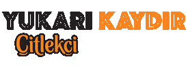 Çitlekçi Sticker