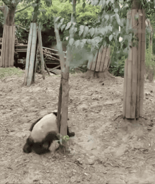 giphy.gif?cid=4bf119fc5ce43a2844356c463296f328&rid=giphy.gif
