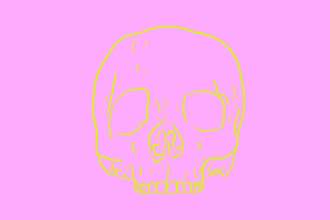 gianfloris pink sweet skull death GIF