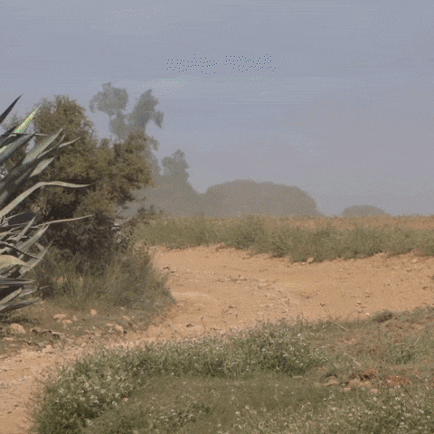 jcquintanamotorsport GIF