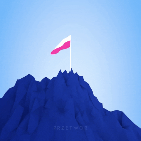 przetwor animation flag motion graphics poland GIF