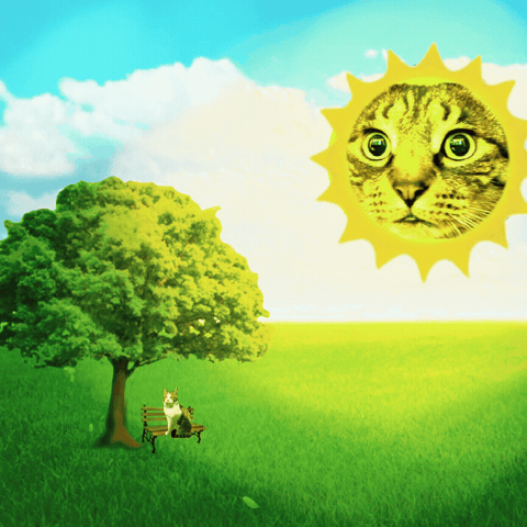 Cat Meme First Day Of Fall GIF by Furrend