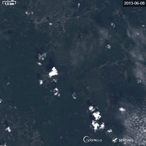 Екологія GIF