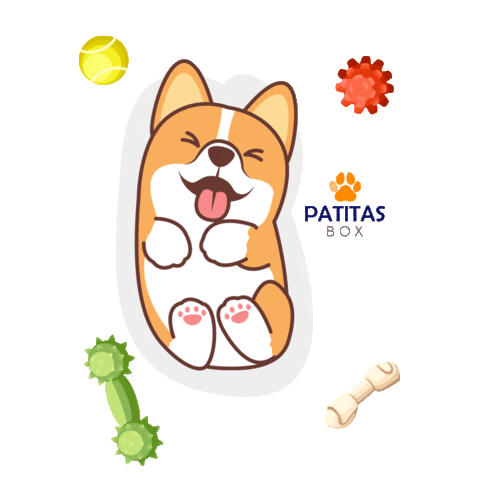 Patitas Box Sticker