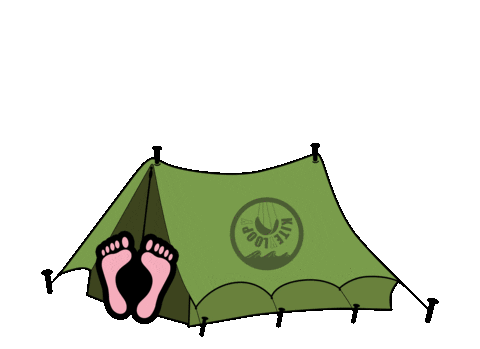 funny camping cartoon