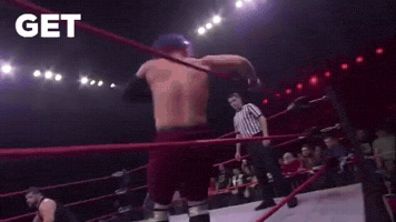 Wrestling GIF