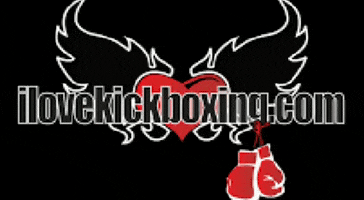 ILoveKickboxing GIF