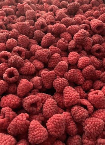 Equal Food GIF