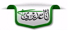 Imam Ali GIF