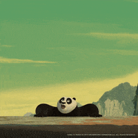 Kung Fu No GIF by DreamWorks Animation