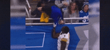 Nfl Steelers GIF