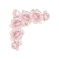 200w.gif?cid=ecf05e47xyjsty96vysokst0adb