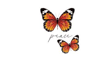 Healer Collective Sticker