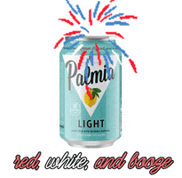 Celebrate 4Th Of July GIF by Palmia Beer