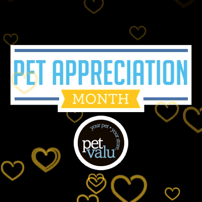 Pet Appreciation Month GIF by petvalu