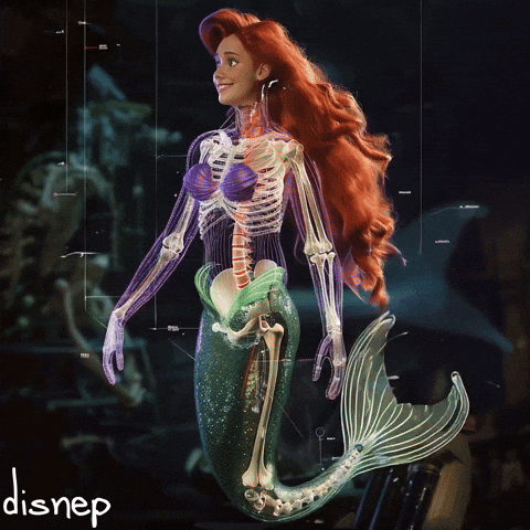 Skeleton Mermaid GIF