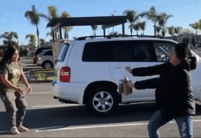 GIF by MILK+T