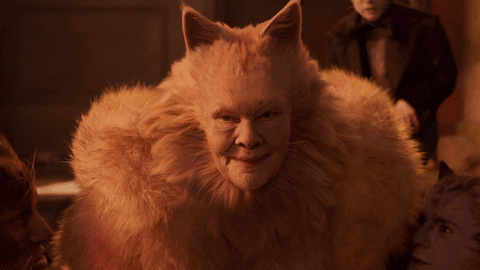 Cats Movie Gifs Get The Best Gif On Giphy