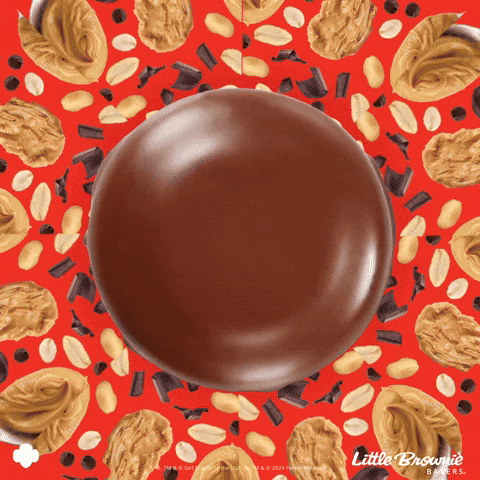 littlebrowniebakers chocolate cookie cookies peanutbutter GIF