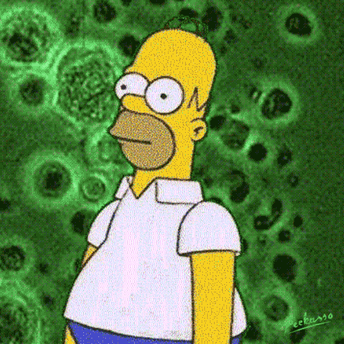 Homer Bushes GIF by PEEKASSO - Find & Share on GIPHY