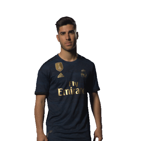 Vamos Marco Asensio Sticker by Real Madrid