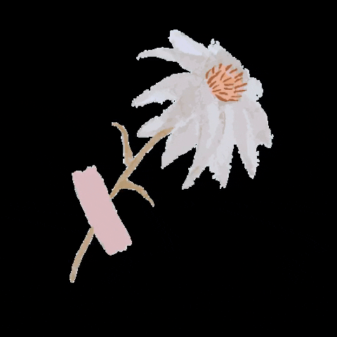 Art GIF