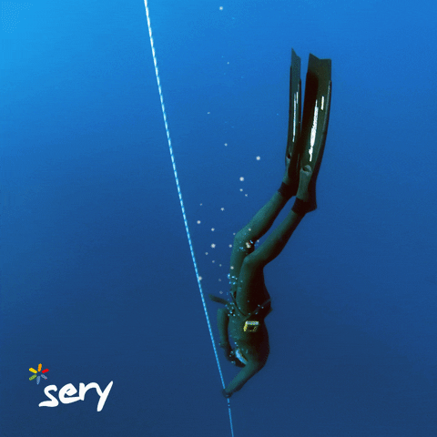 Sery-brand brand agency austria diving GIF