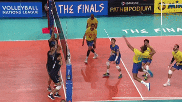 Brazil Rally GIF by Volleyball World