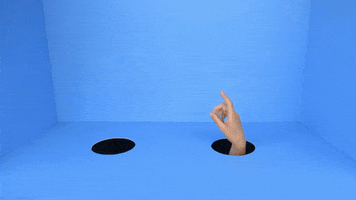 Lindyhengst GIF
