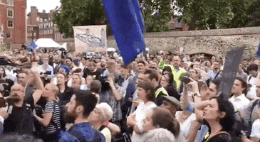 news protest brexit stop brexit stop the coup GIF