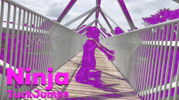 Ninja GIF