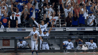 Mets Sweep GIF by The 7 Line - Find & Share on GIPHY