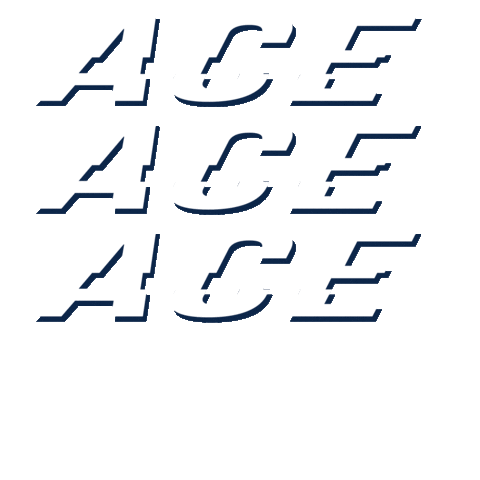 Ace Volley Sticker by Emma Villas Siena