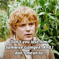 samwise gamgee GIF